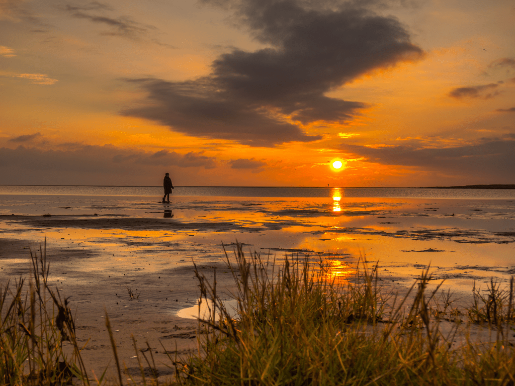 Vaargebied zeilschip Waddenzee