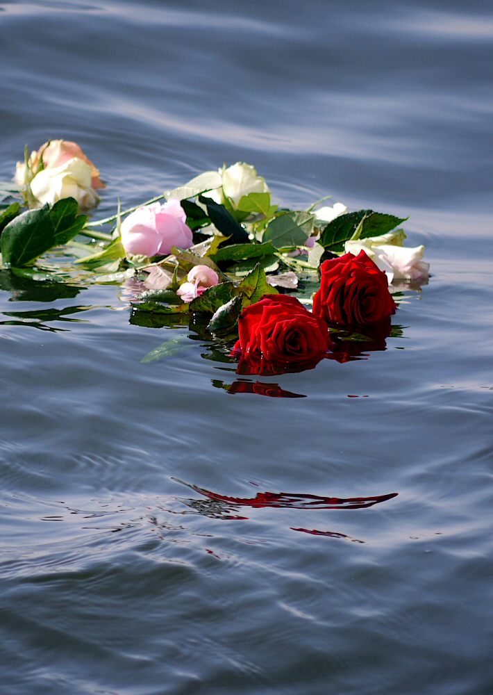 Seebestattung auf dem IJsselmeer